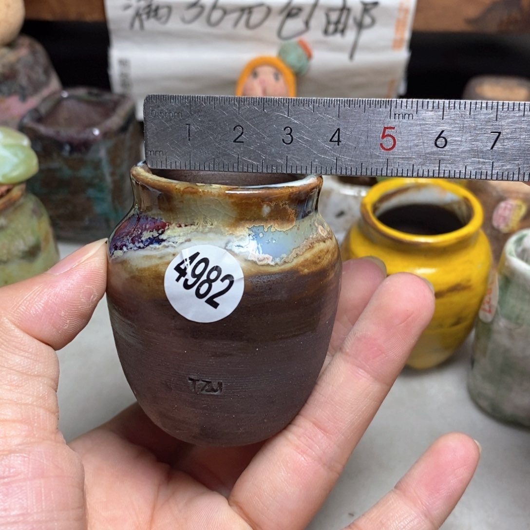 拍5送一个小礼物