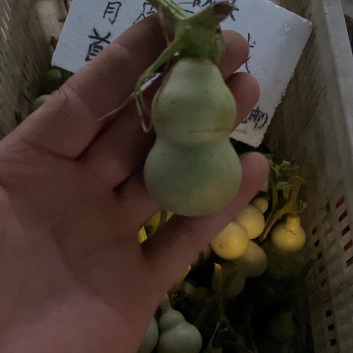 旋***姐哈哈哈哈哈哈哈哈哈哈