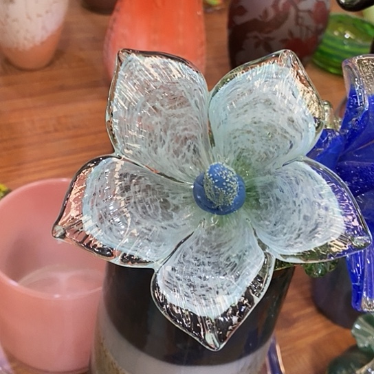 琉璃夜光花高45厘米