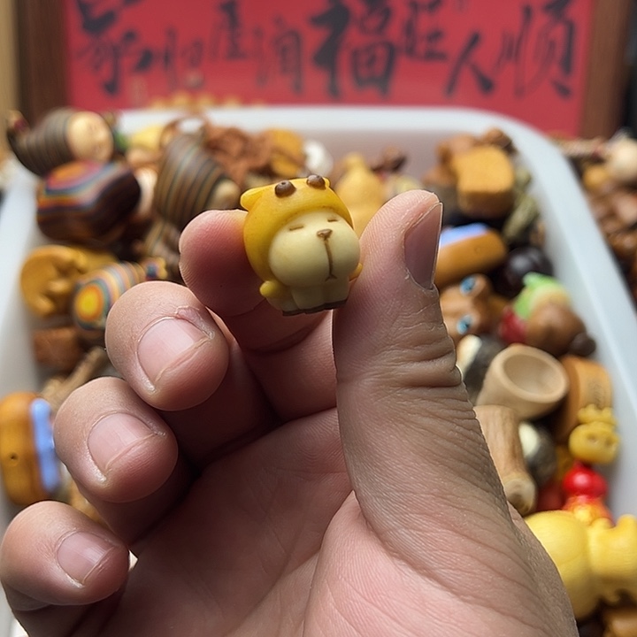 非金属象牙果狗子