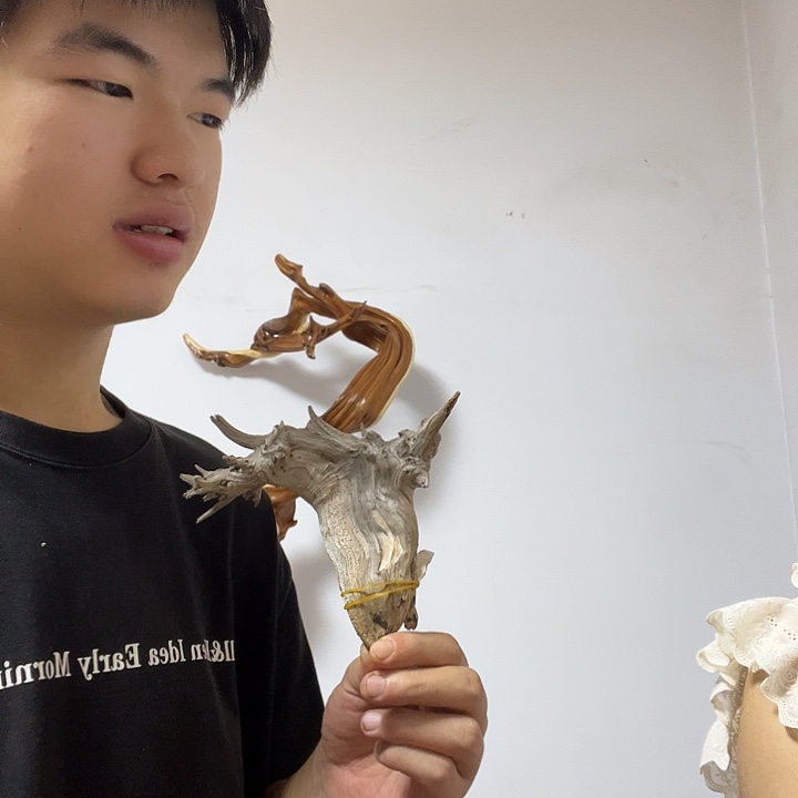 岁***歌柏木（崖柏）我是李静如水般若