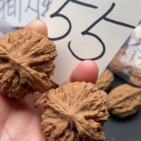 桃核吊坠42皇冠核桃