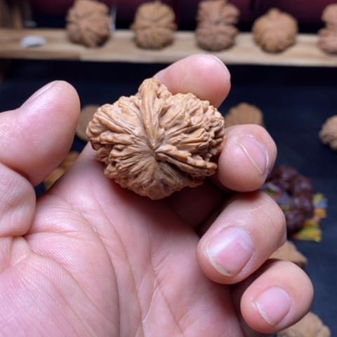 蛤***人把件文玩核桃核桃