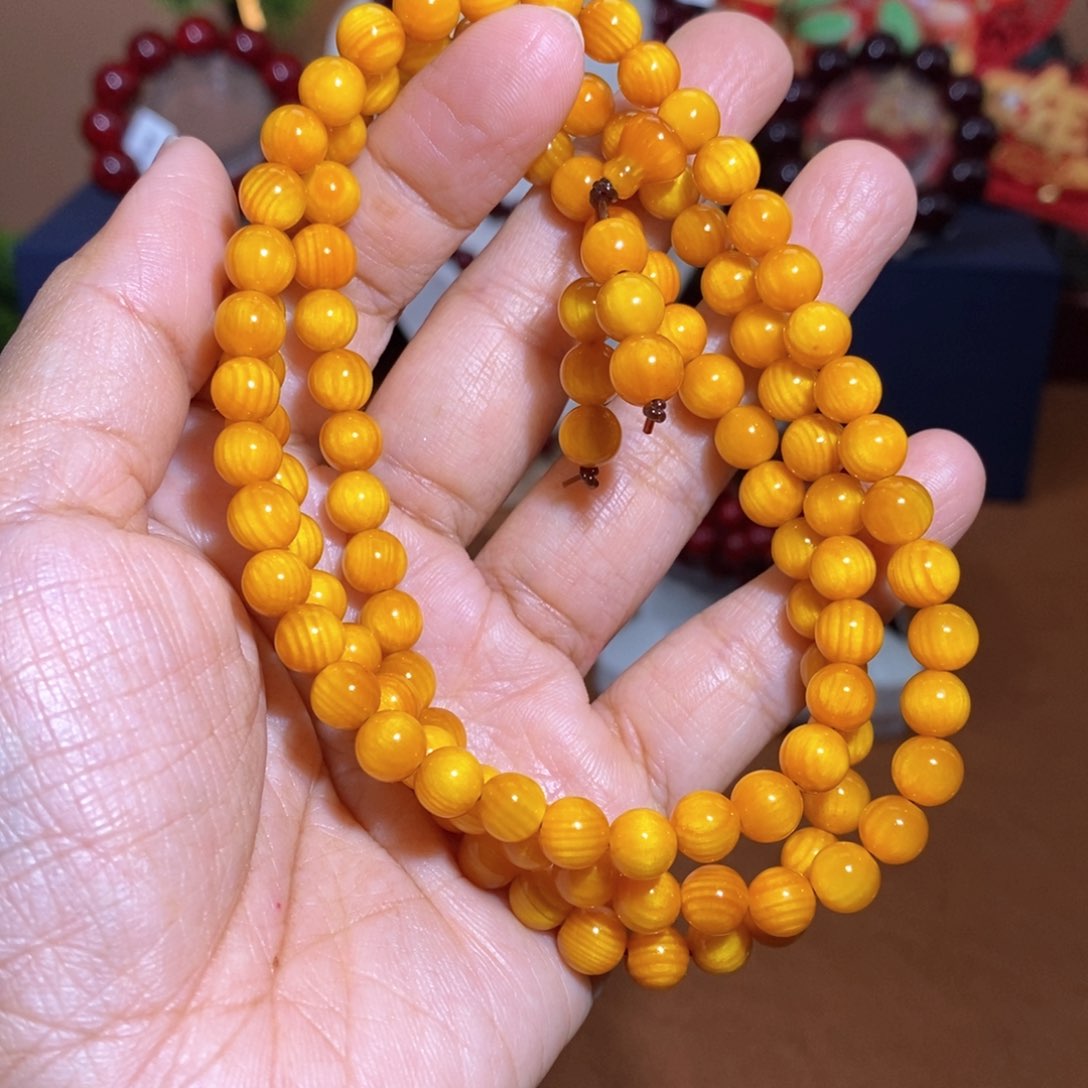 贝壳杉帝王血龙木0.6高货