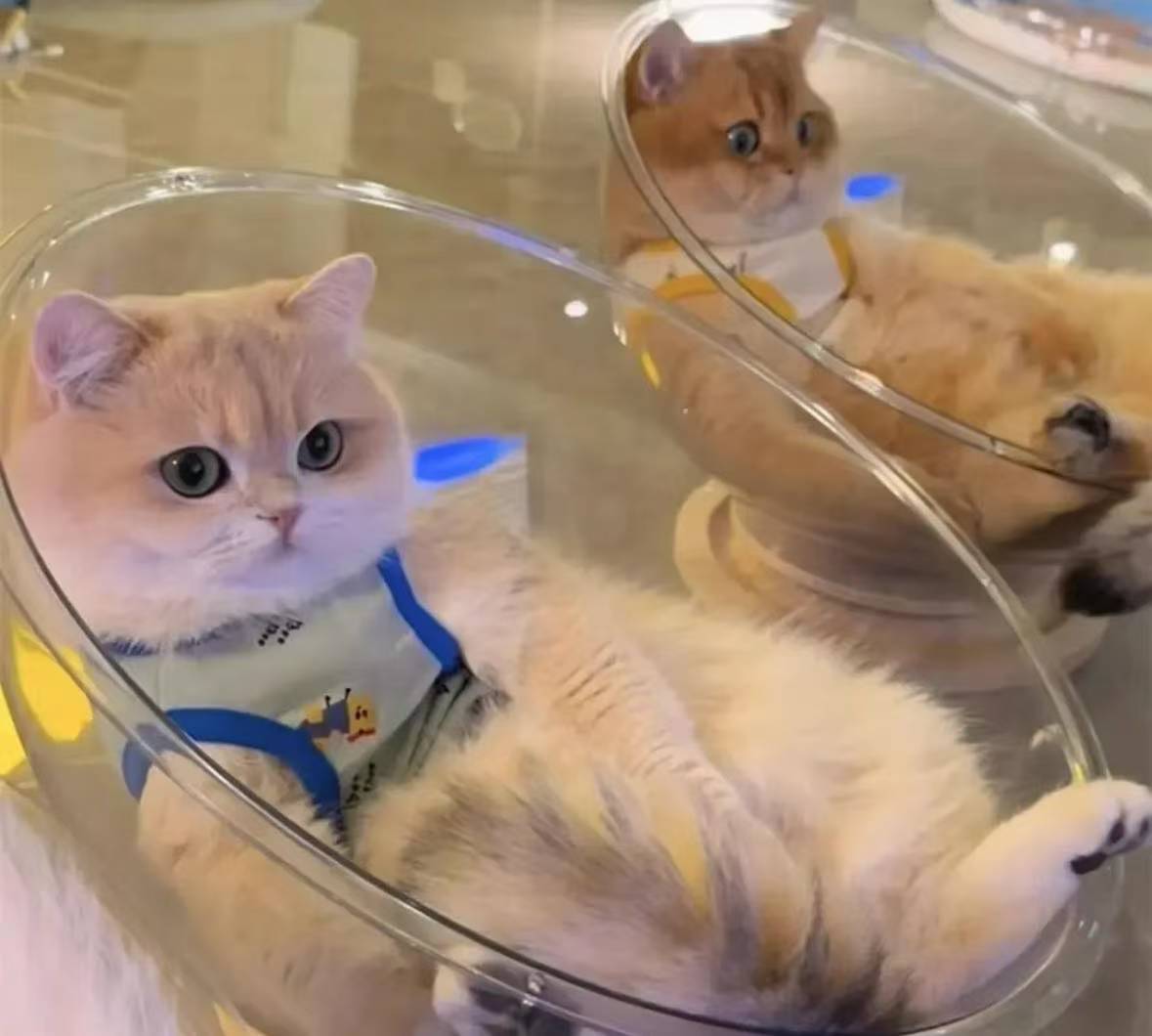 太空舱式旋转盘猫窝四季通用夏季猫咪冰窝空调屋