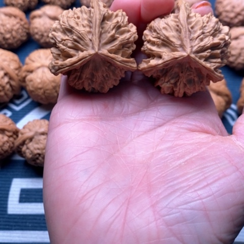 橄榄核手串/手链野生三棱41