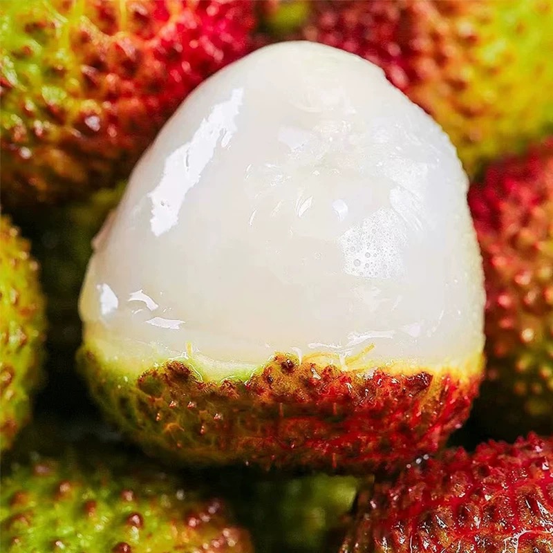 广西浦北妃子笑荔枝清甜多汁当季新鲜水果现摘现发皮薄肉厚荔枝荔枝同城送