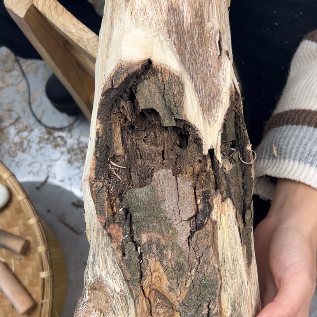 游***游沉香木沉香碎屑原木胚料