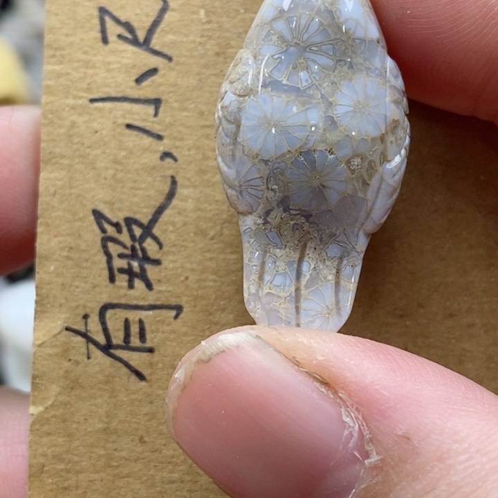 颈饰未镶嵌硅化珊瑚（珊瑚玉）