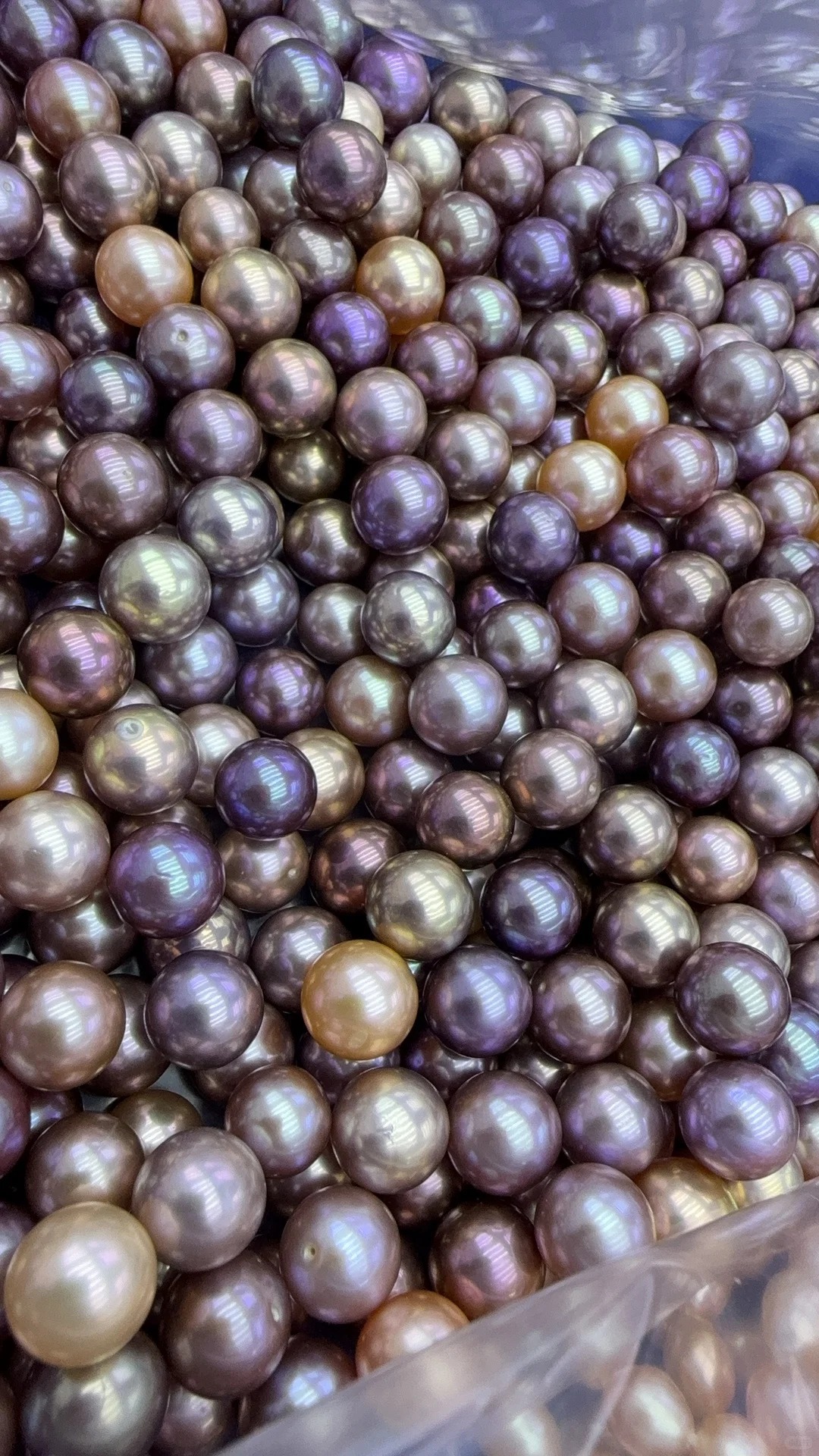 精品炫彩珍珠单珠【活体开蚌不退不换】可diy定制