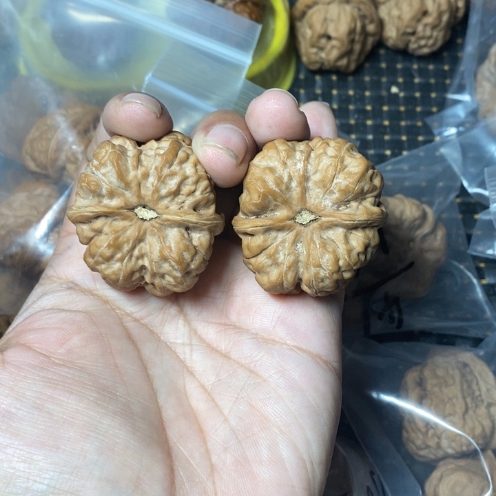 时***白文玩核桃把件蛤蟆