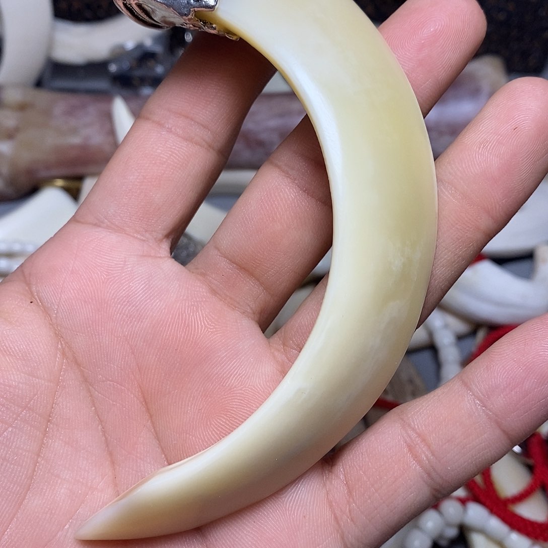 猪牙手串/手链猪牙