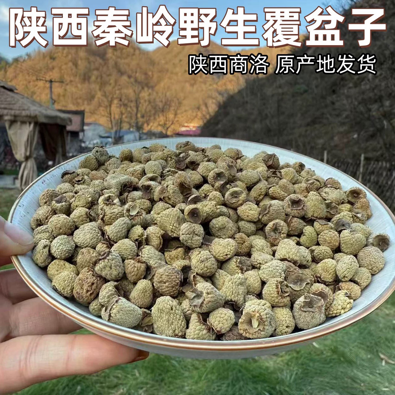 【产地直销】陕西秦岭覆盆子深山采摘无硫覆盆子可泡茶煮水干果