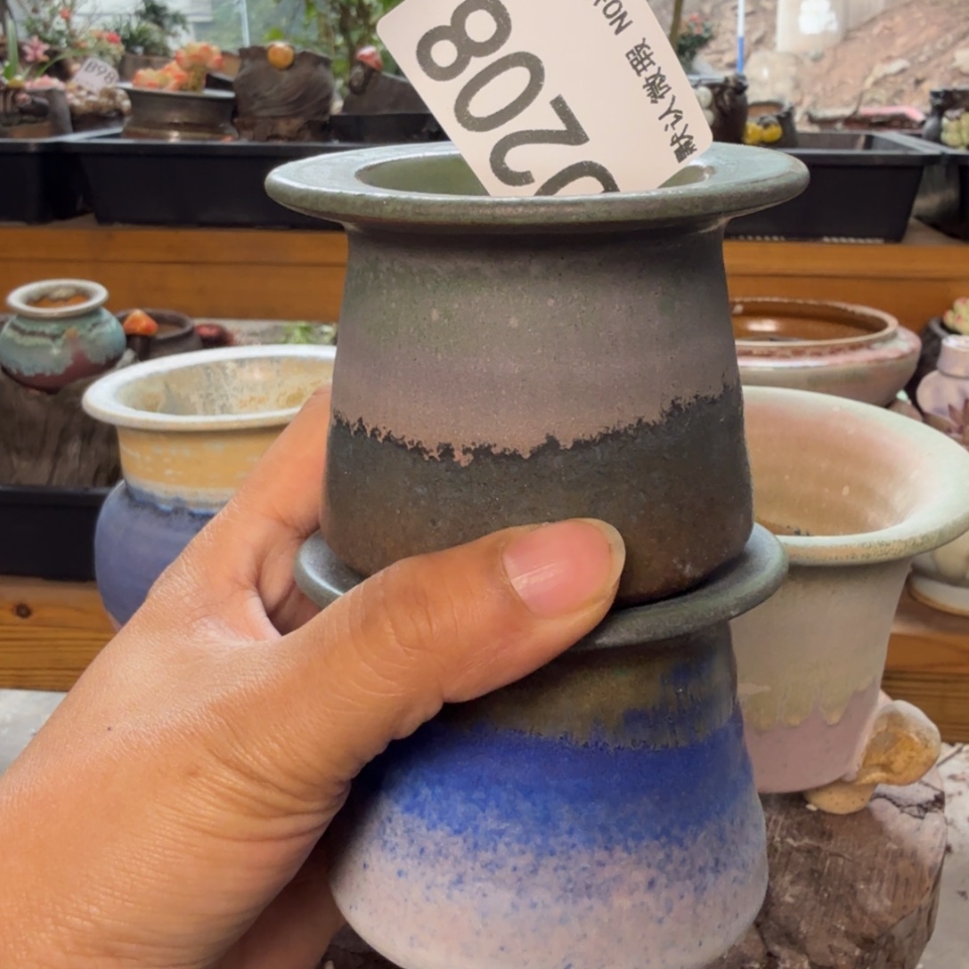 重庆小燕子欢迎大家208