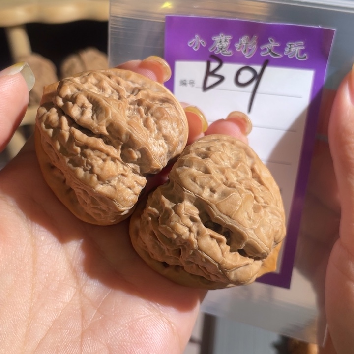 1号 哇啊啊 43333333