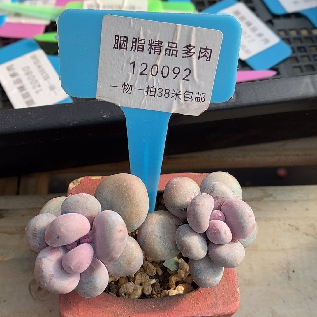 120092从户籍让我们在