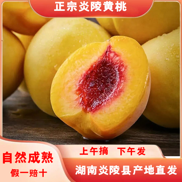 【正宗炎陵锦绣黄桃】脆甜红心黄桃香甜多汁现摘现发10斤礼盒装