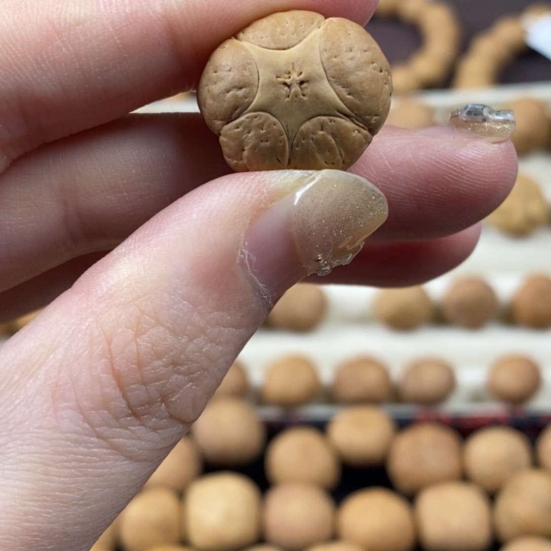 吊坠凤眼菩提五星上将19.5