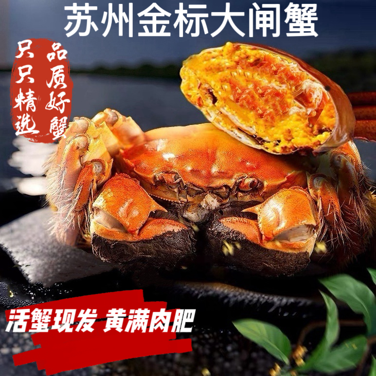 【苏州金标大闸蟹】全母蟹4.1~3.8两礼盒装冷链包邮8+2到手10只活蟹
