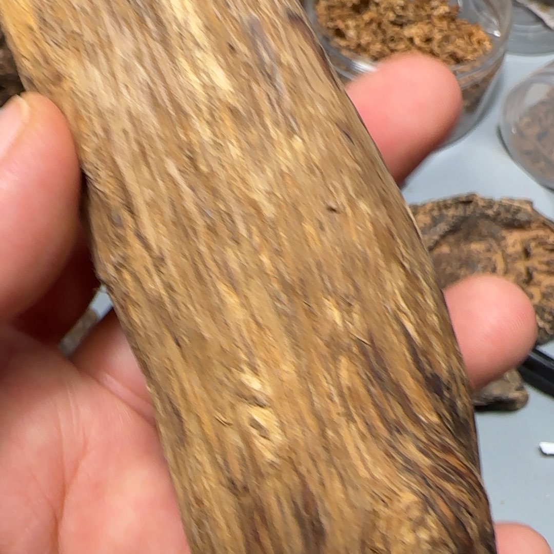 沉香沉香碎屑达拉干50.68克