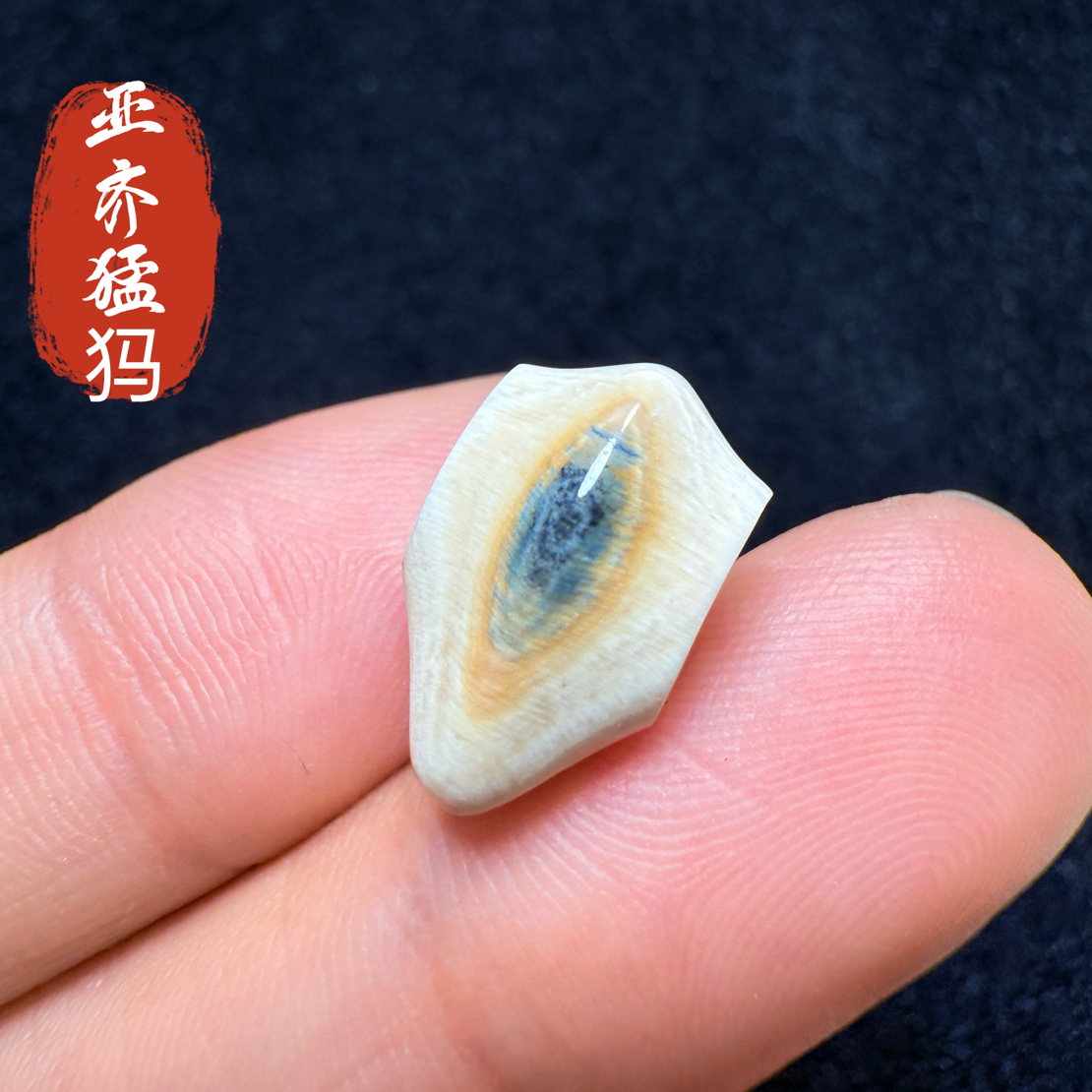 Y41猛犸象牙冰料蓝皮蓝眼睛鲨鱼背三通9*9*15