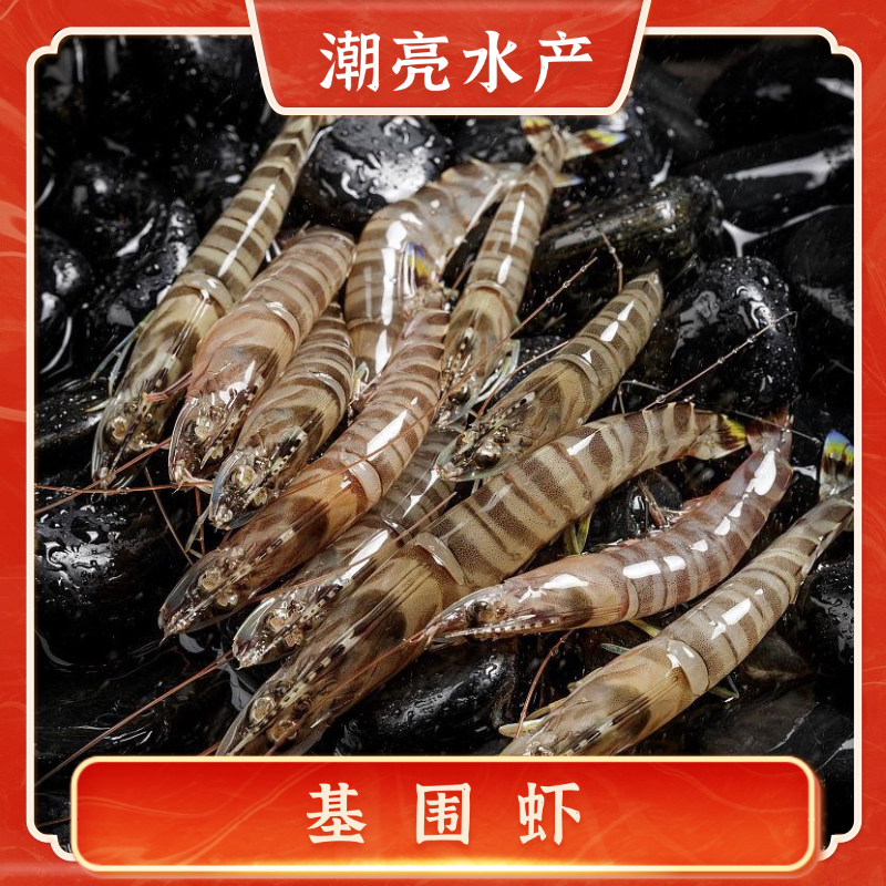 【潮亮水产】基围虾 3斤起 55-60头一斤