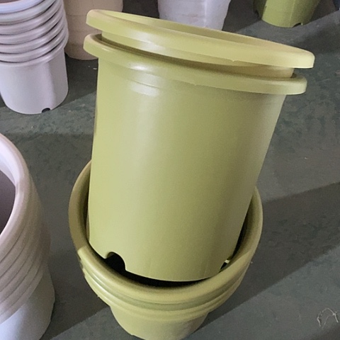 树脂特价8号5个无托果绿