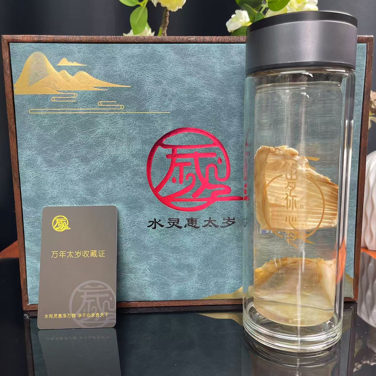 水灵惠太岁肉灵芝摆件净水神器便携