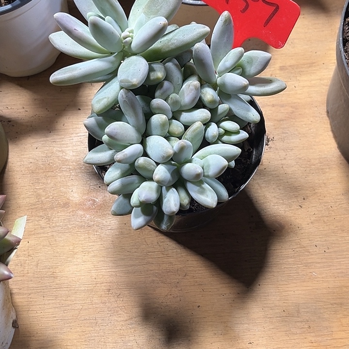 搁***忆000000000000000002157