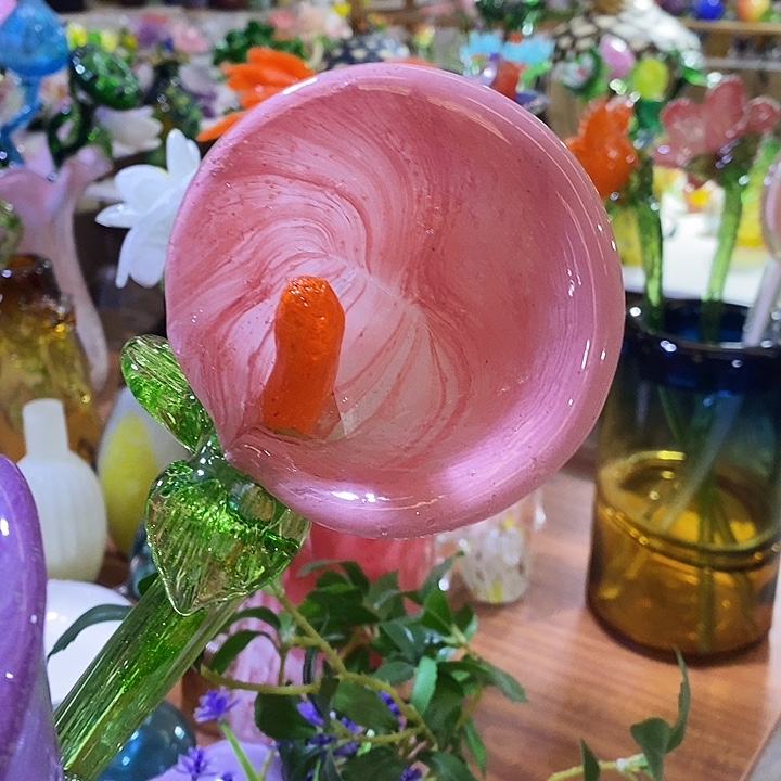 夜光花高45厘米宽8厘米