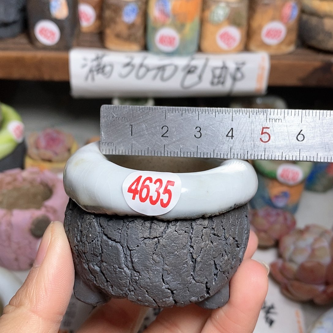 红陶拍5送一个小