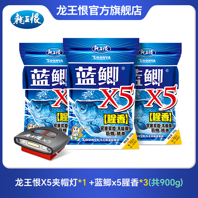 龙王恨夹帽感应灯钓鱼专用头戴式夜钓灯充电超亮LED钓鱼用具ss