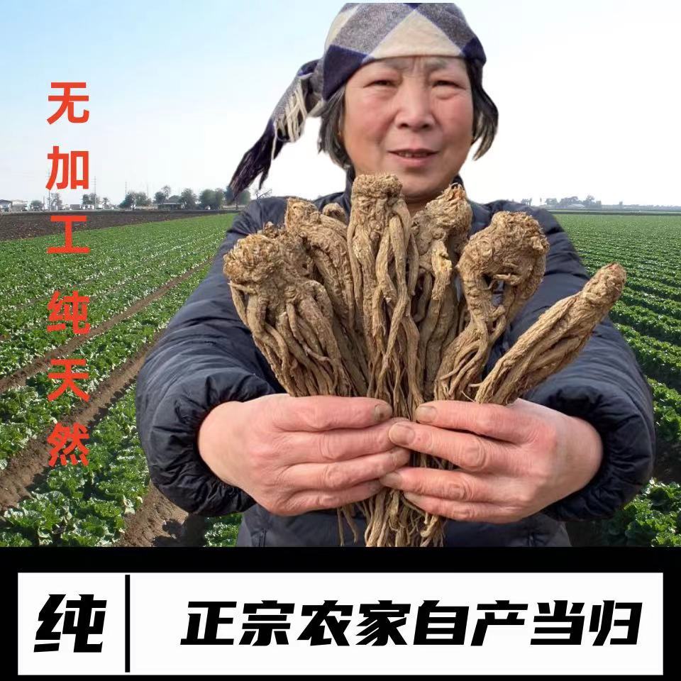 当归甘肃岷县农家自种整支原汁原味，无任何添加中条