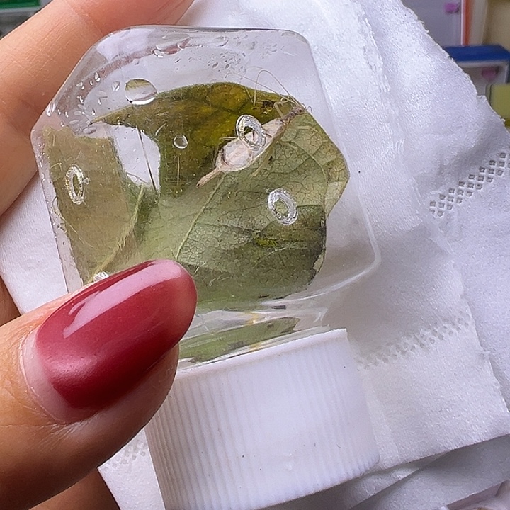 阿***三哈哈哈哈哈哈哈哈哈哈哈哈哈