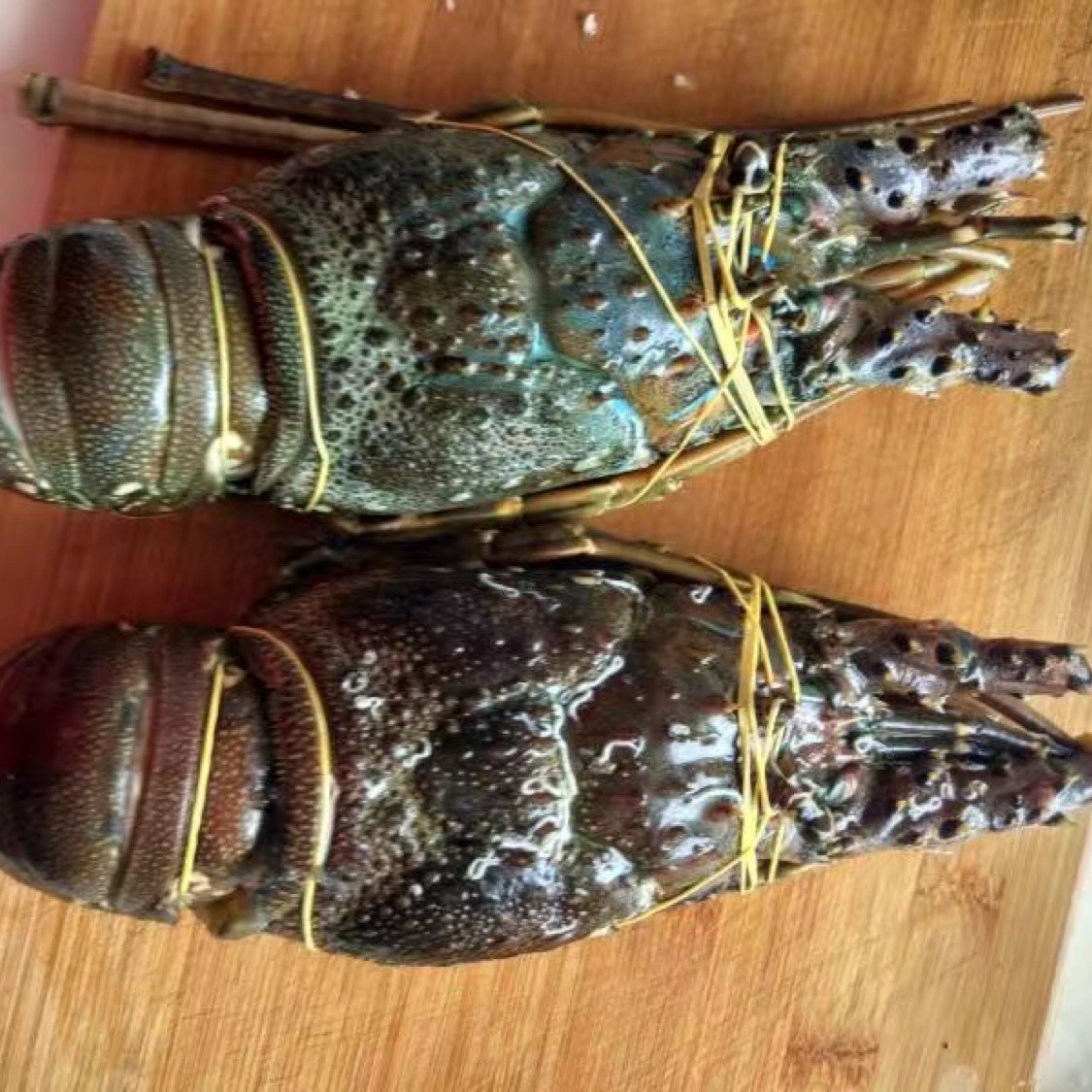 巨划算小青龙限速活冻顺丰