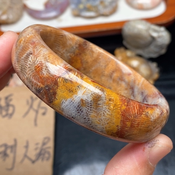 硅化珊瑚（珊瑚玉）颈饰未镶嵌54.4