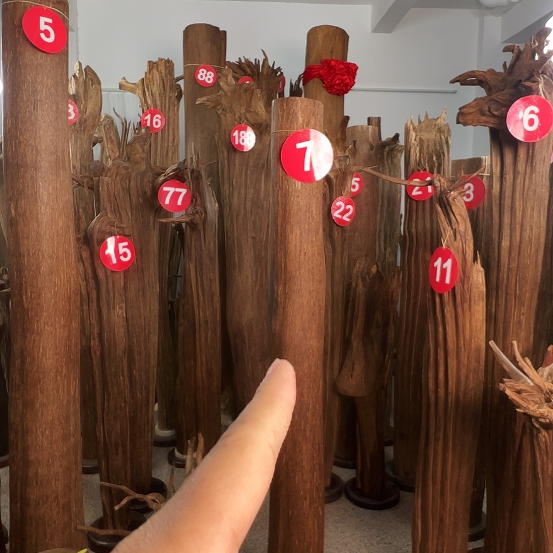 无***贝沉香摆件沉香原料H