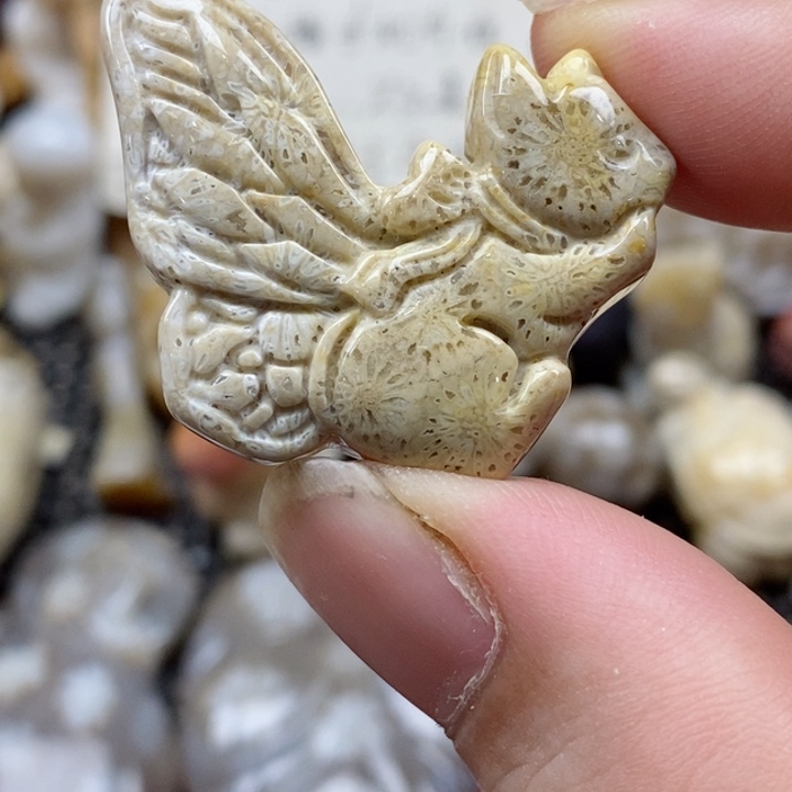 颈饰未镶嵌硅化珊瑚（珊瑚玉）小