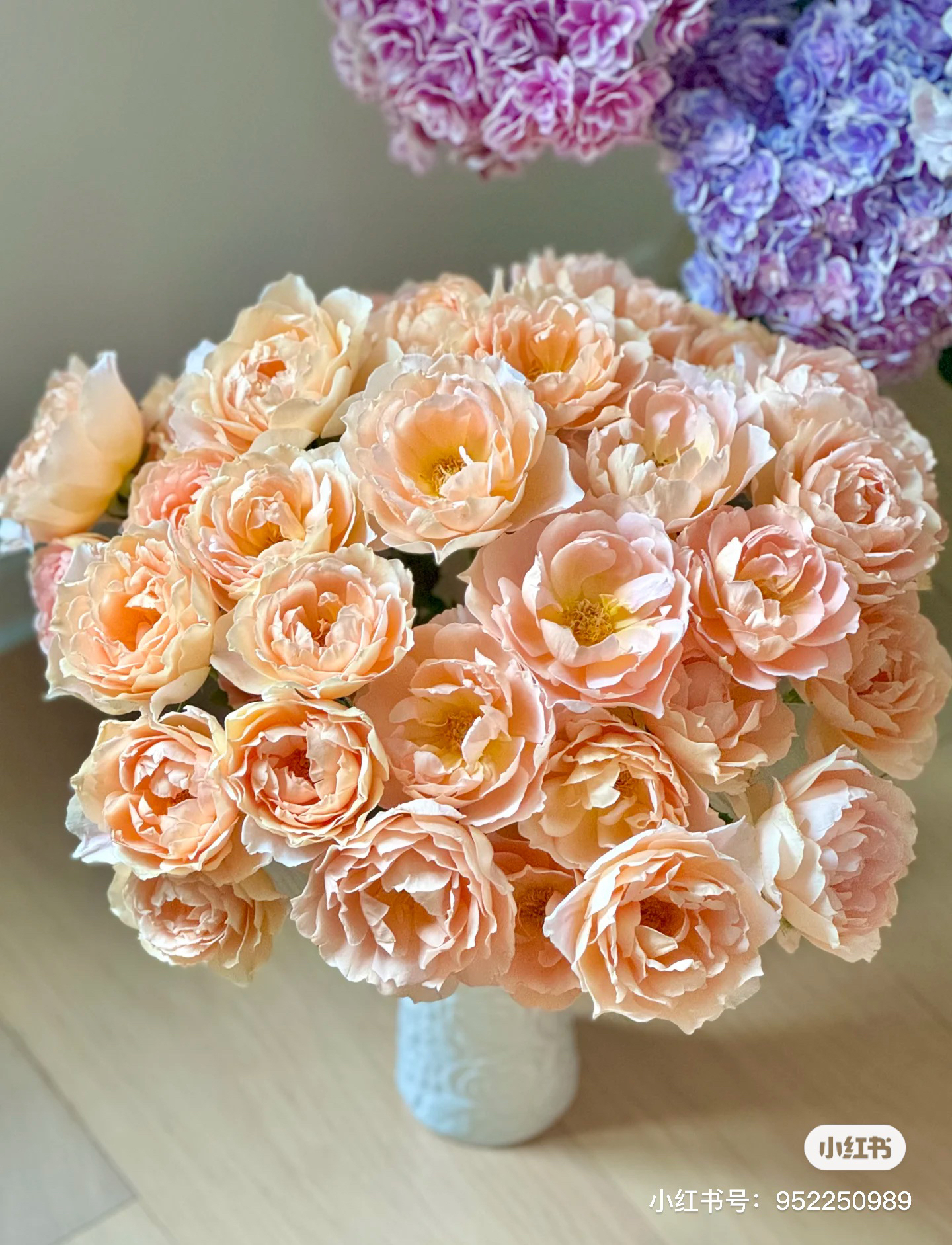 【德芮尔】杏 玫瑰 任拍三单顺丰空运包邮鲜切花10支装家居花店插花