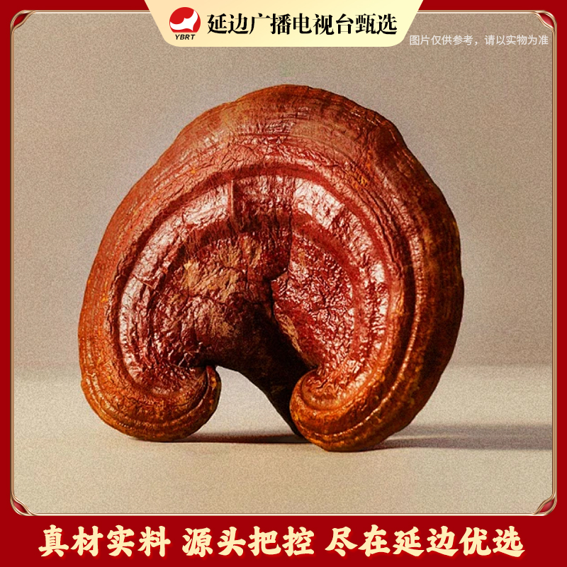 【延边新闻】灵芝 40-50克