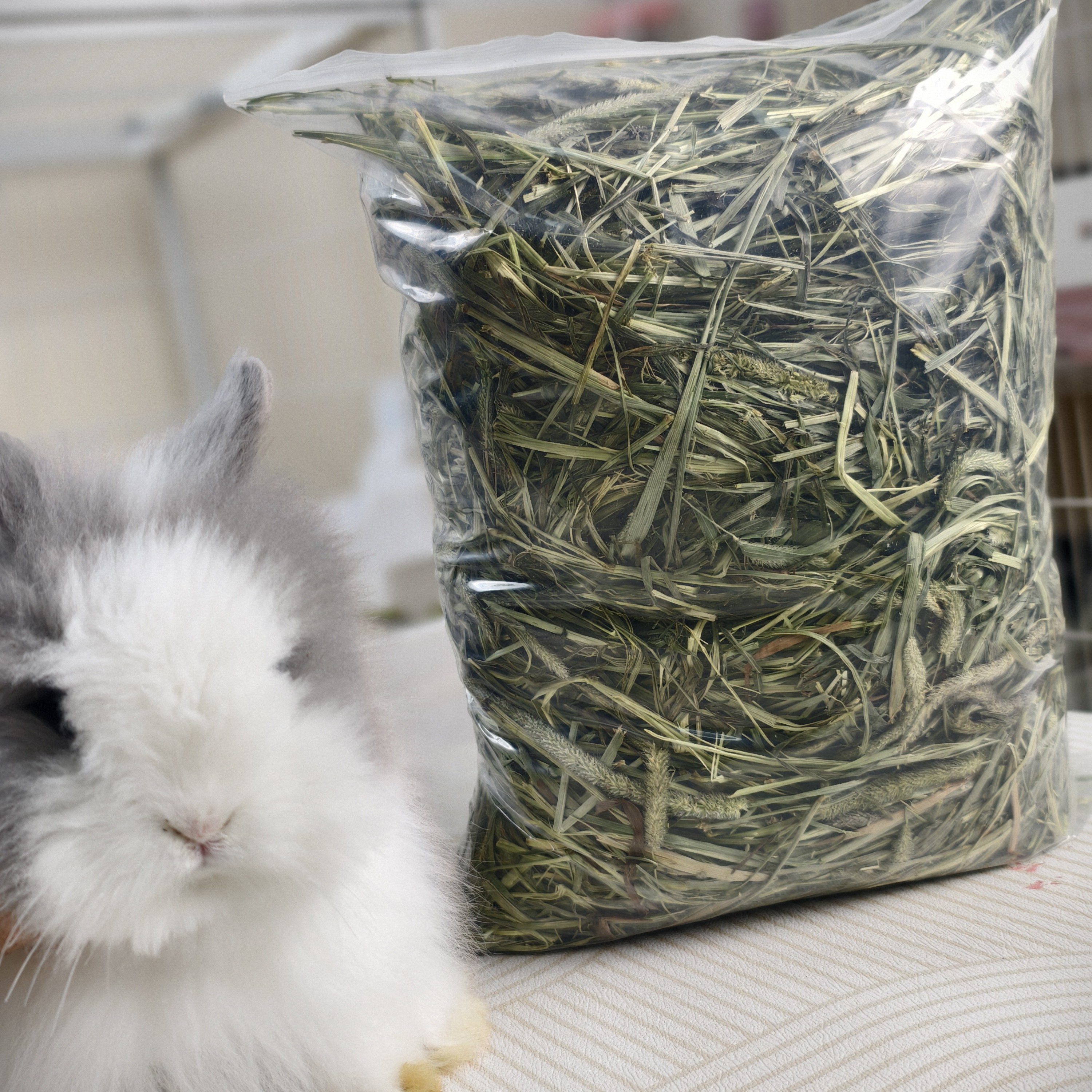 特级岷县晒干提摩西草片龙猫兔子小宠物磨牙主食干草粮
