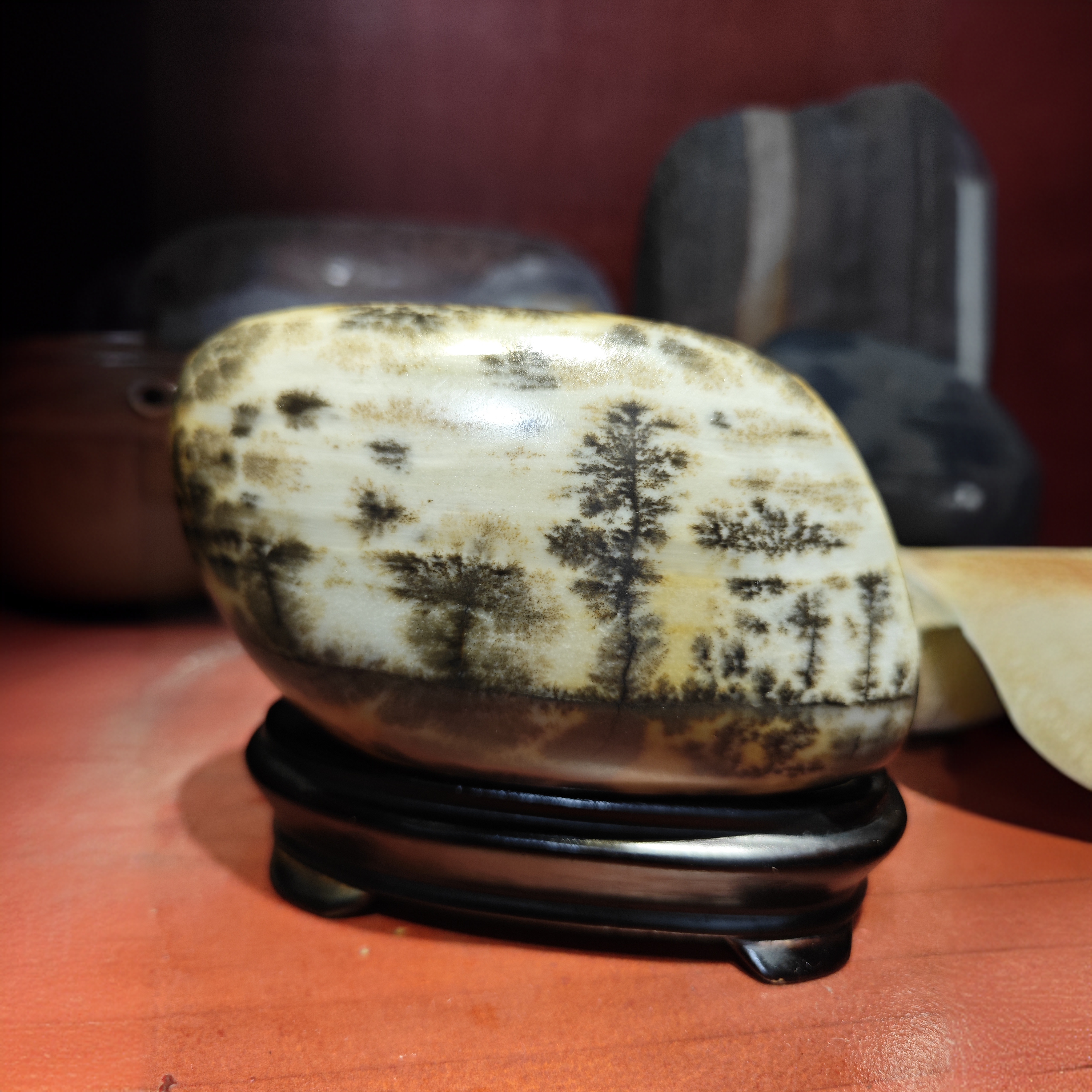 非金属，广西红水河大湾石，大化石。