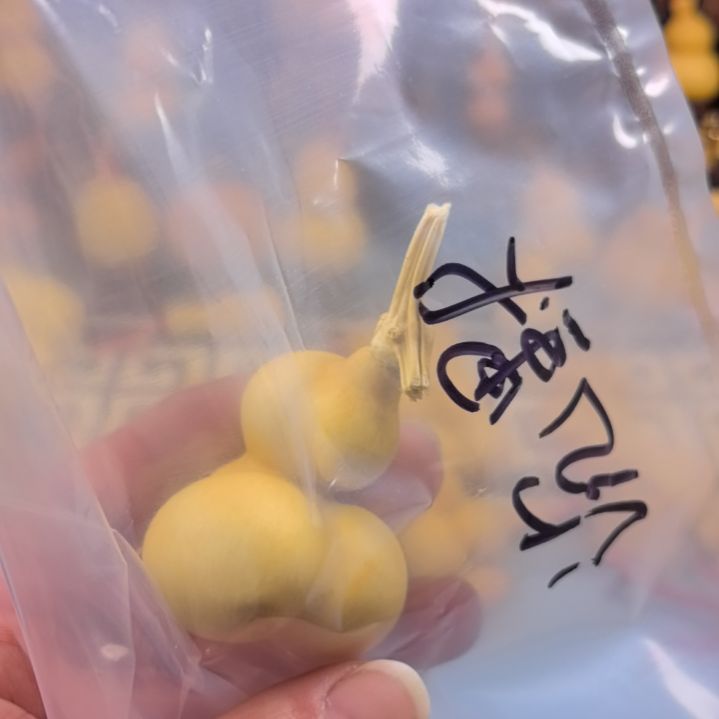 小尺寸葫芦葫芦葫芦