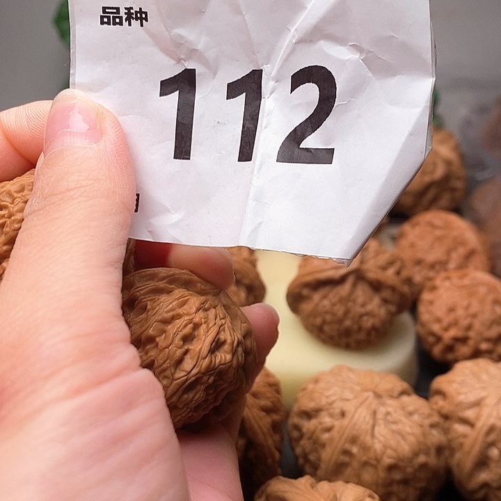 文玩核桃吊坠可***了白狮子112