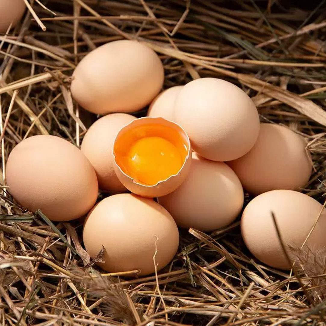 恩施利川高山正宗散养谷物鲜鸡蛋走地鸡纯粮喂养土鸡蛋新鲜