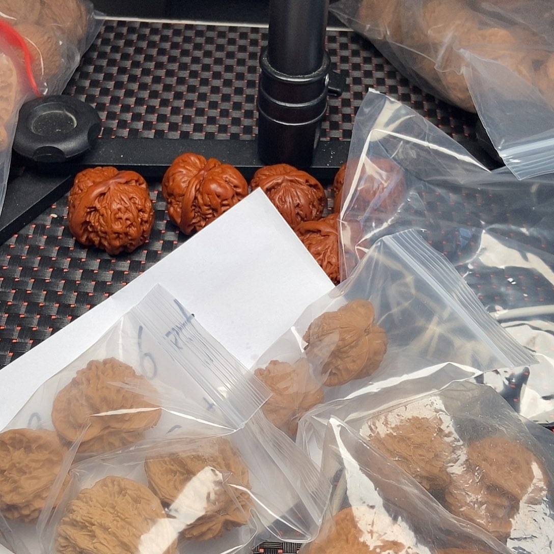 文玩核桃吊坠42号文玩核桃
