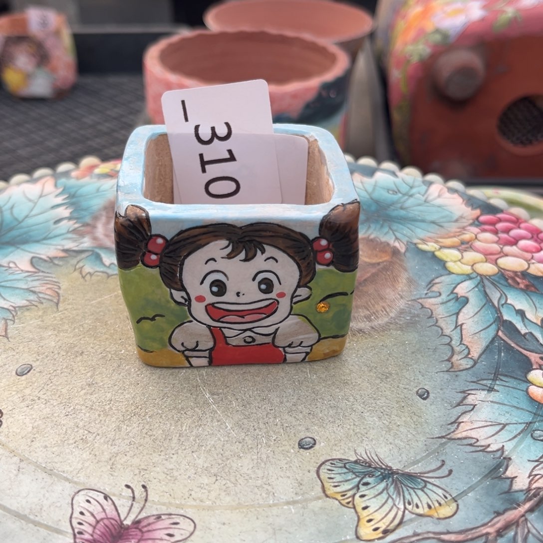 ****～310多肉花盆    1个