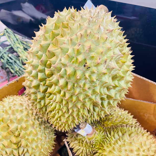【特价果处理不包售后】（软糯口感）泰国树上熟榴莲新鲜金枕榴莲南京小时达配送到家肉大核小2-8斤金枕泰国