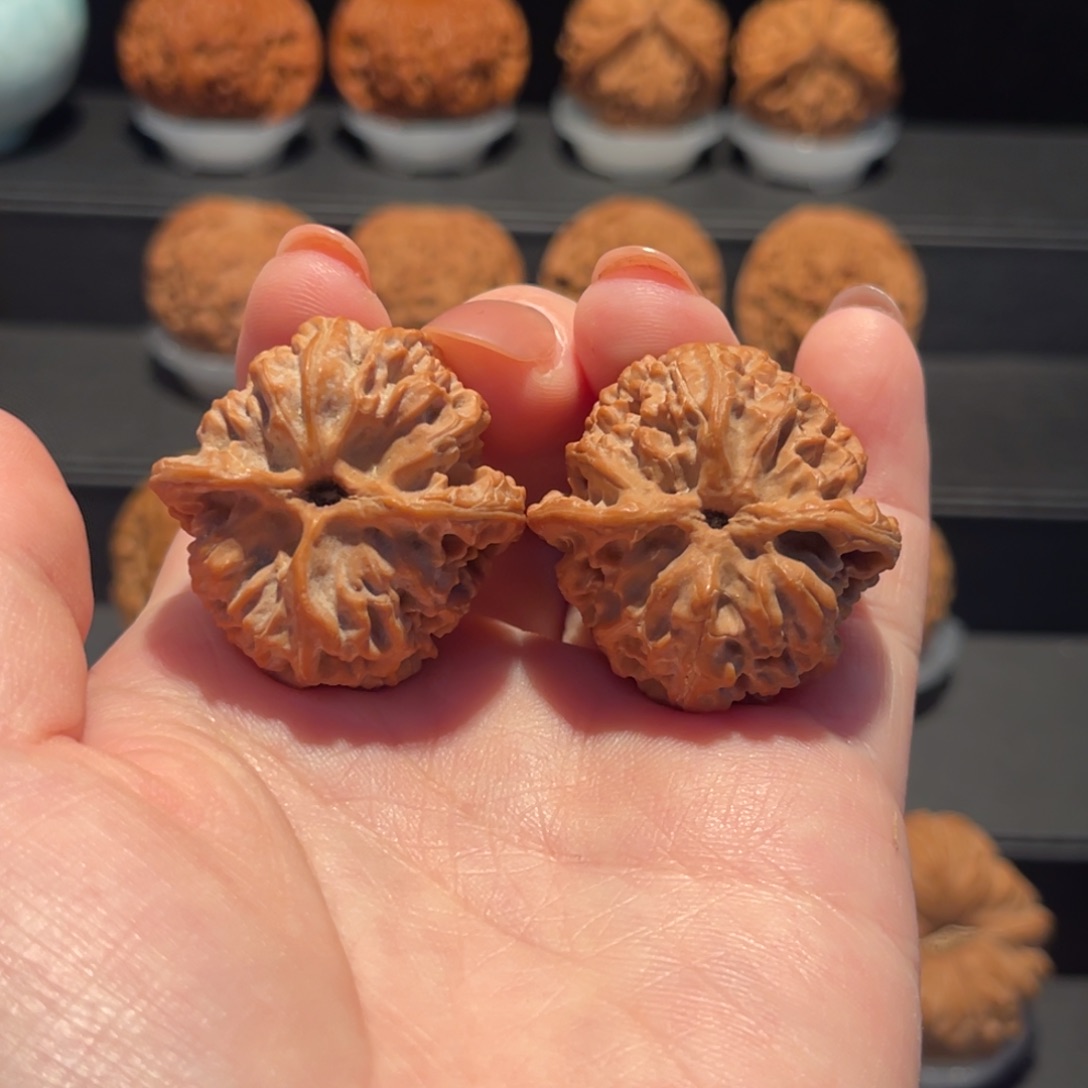 苹果园33精品大漏682