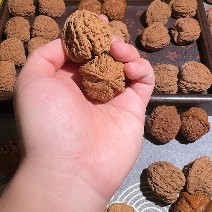 大叶紫檀（黑酸枝木类）